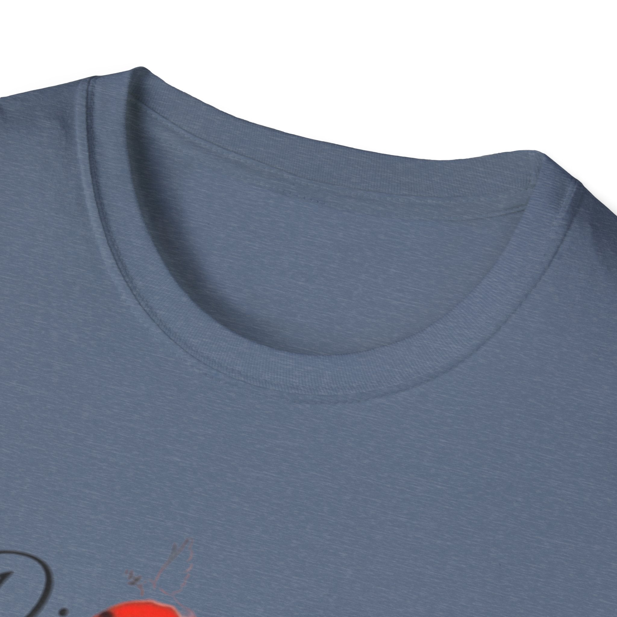 Divine Grace Unisex Softstyle T-Shirt