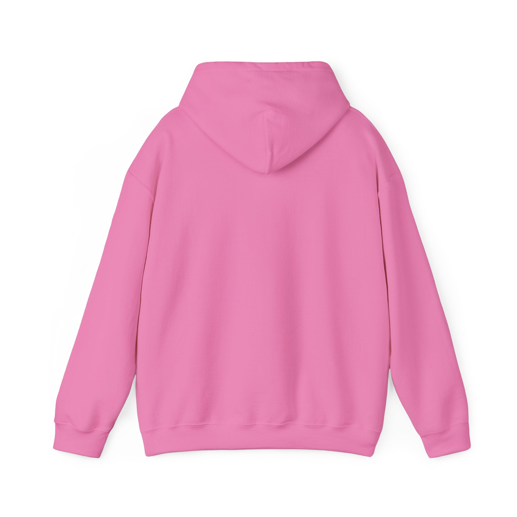Divine Grace Hoodie Sweatshirt