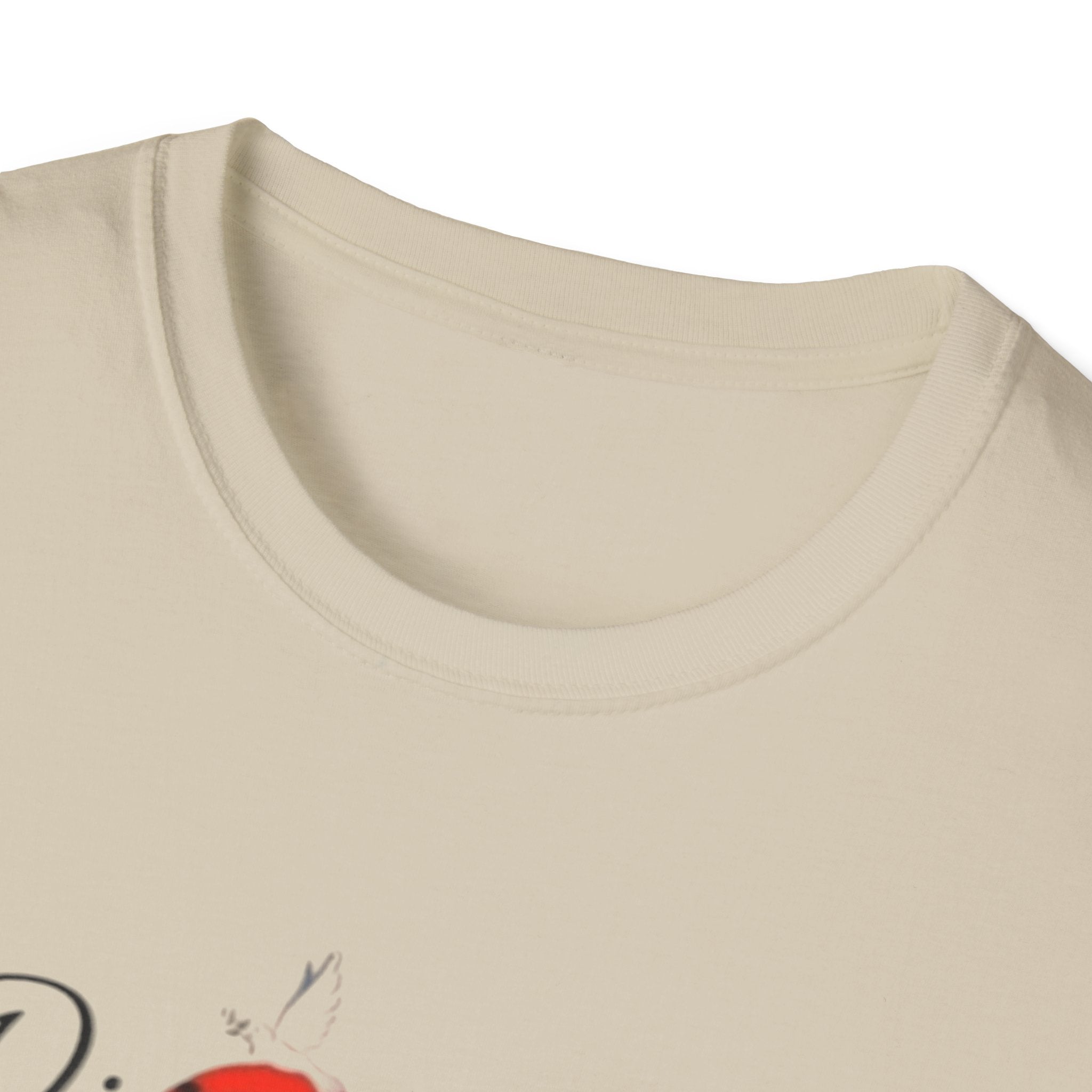 Divine Grace Unisex Softstyle T-Shirt